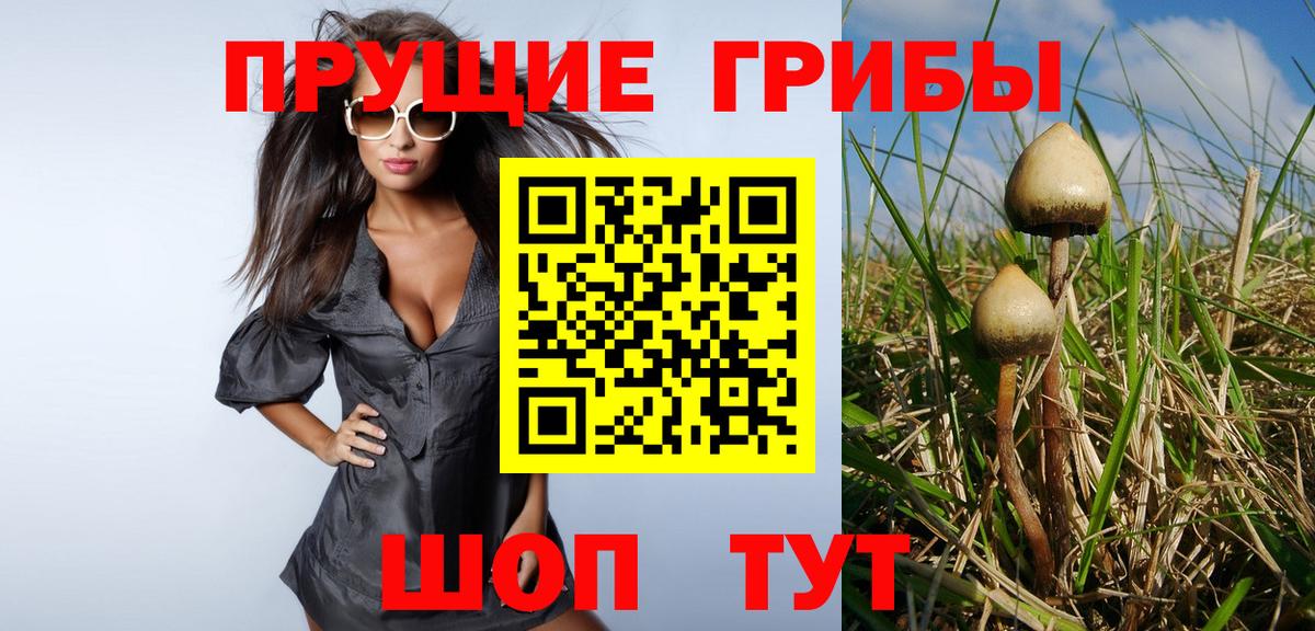 Галлюциногенные грибы мухоморы  Вход с VPN  Псилоцибиновые грибы ЛСД  Тула 